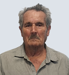 FERNANDO GOMES CALAES